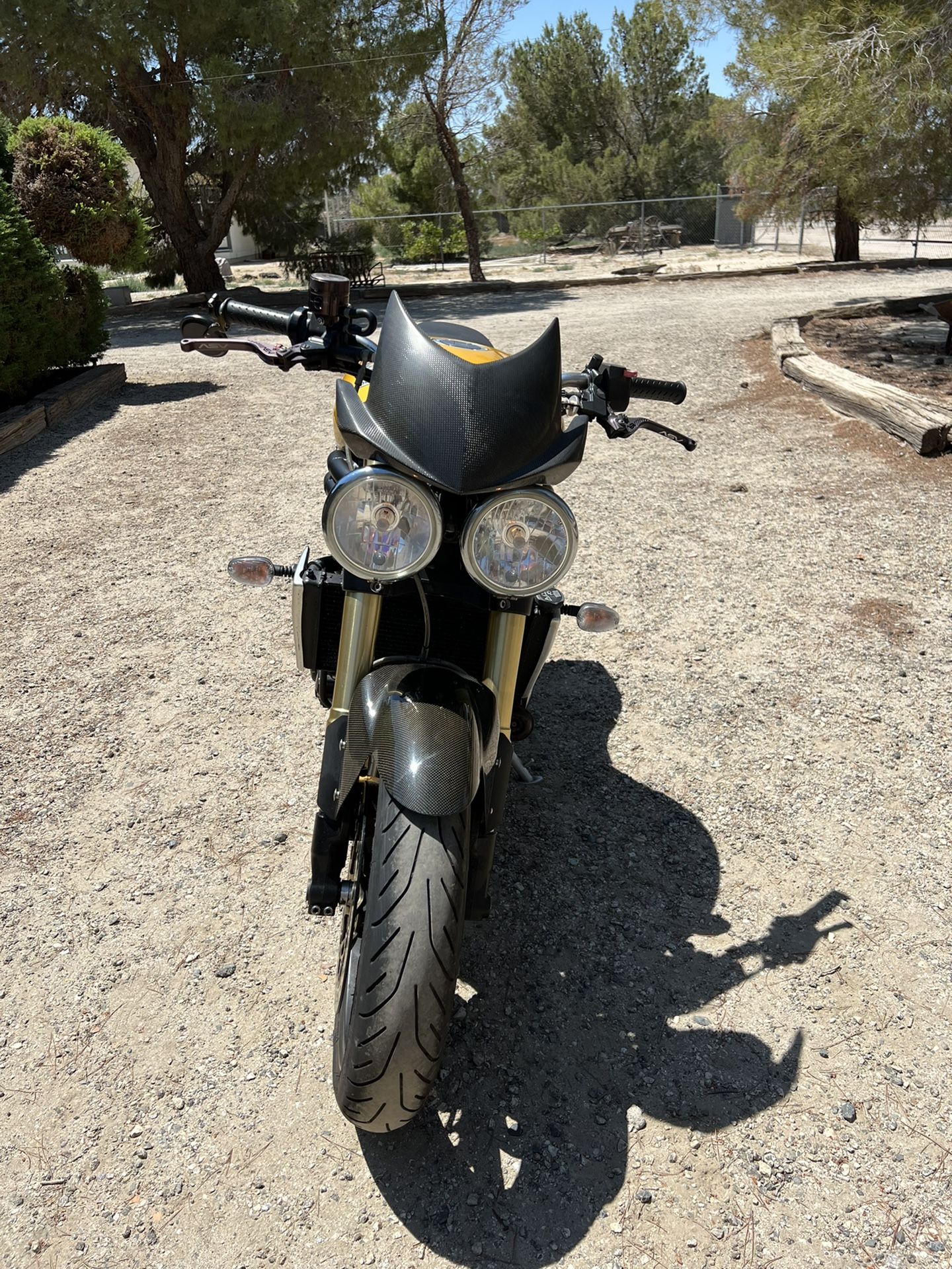 2006 triumph speed triple for sale