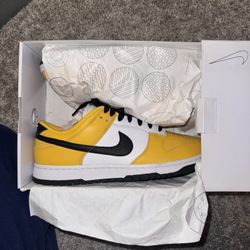 Nike Dunk Low (size 9.5 Men’s) 