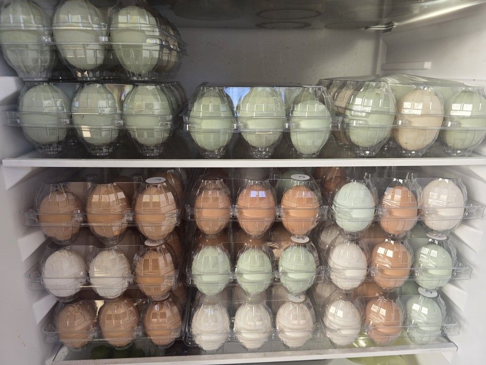 Free Range Chicken And Duck Eggs