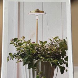 Brand New Decoration Price Is Fixed