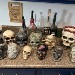 Decorative Skull Collection 