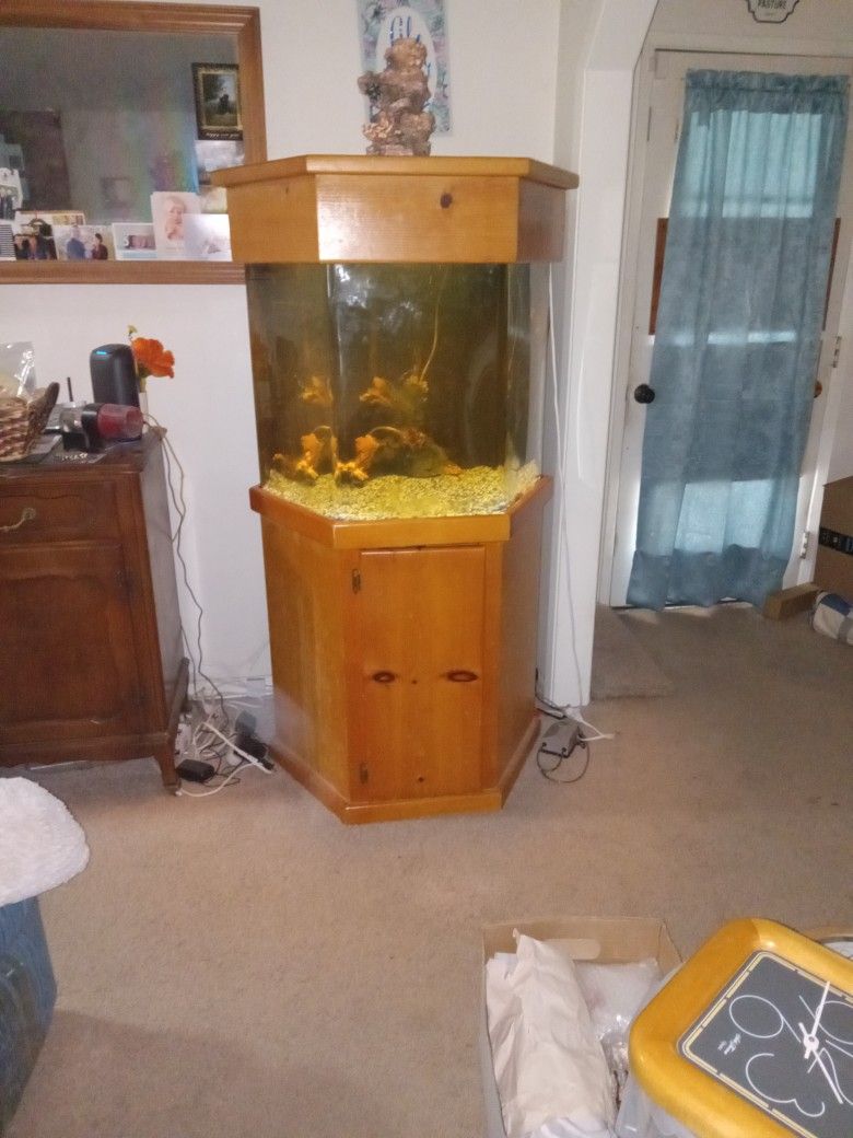 55 Gallon Fish Tank