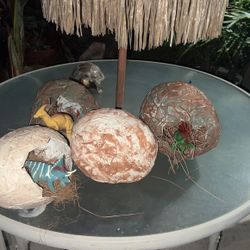Dinosaur Eggs