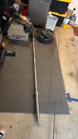 Gym equipment (squat rack, 5-45lb weights, bench, etc.)