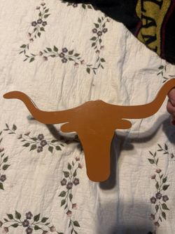 New Texas Longhorns Hitch