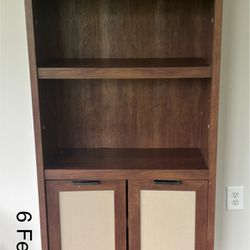 Tall Cabinet/Bookshelve