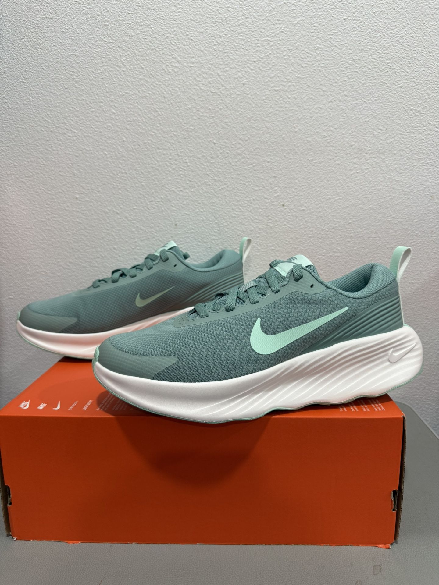 Nike Promina shoe FV6343-005