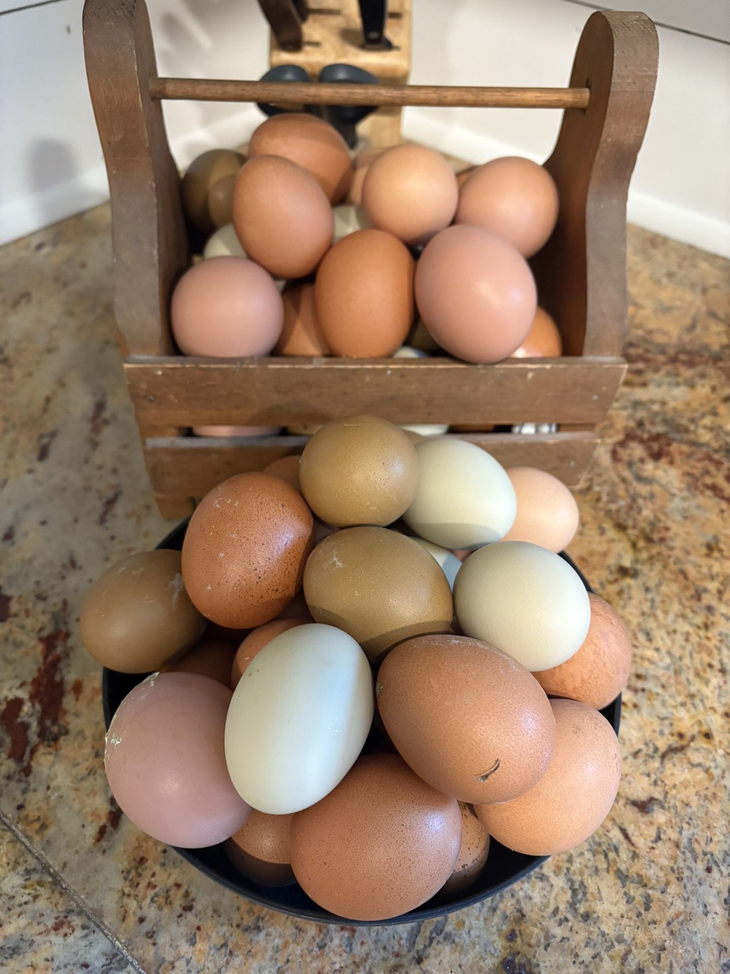 Free Range Farm Fresh Eggs