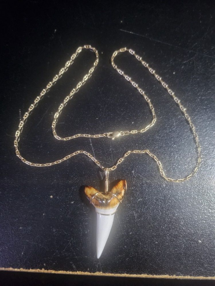 14k Gold Chain, Anchor Link, 22" With Mako Shark Tooth