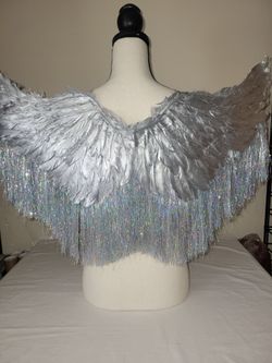 Costume wings new San tan
