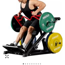 Back Row Lat Dead Lift Exercise Equipment Home Gym 