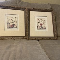 Vintage Looking Rose Pictures