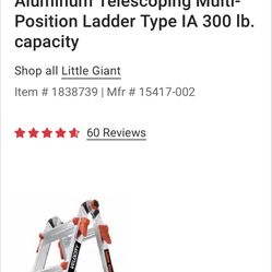 Little Giant Velocity Ladder 