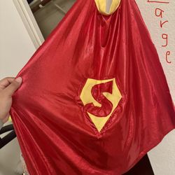 Halloween costume Superman krypto cape dogs
