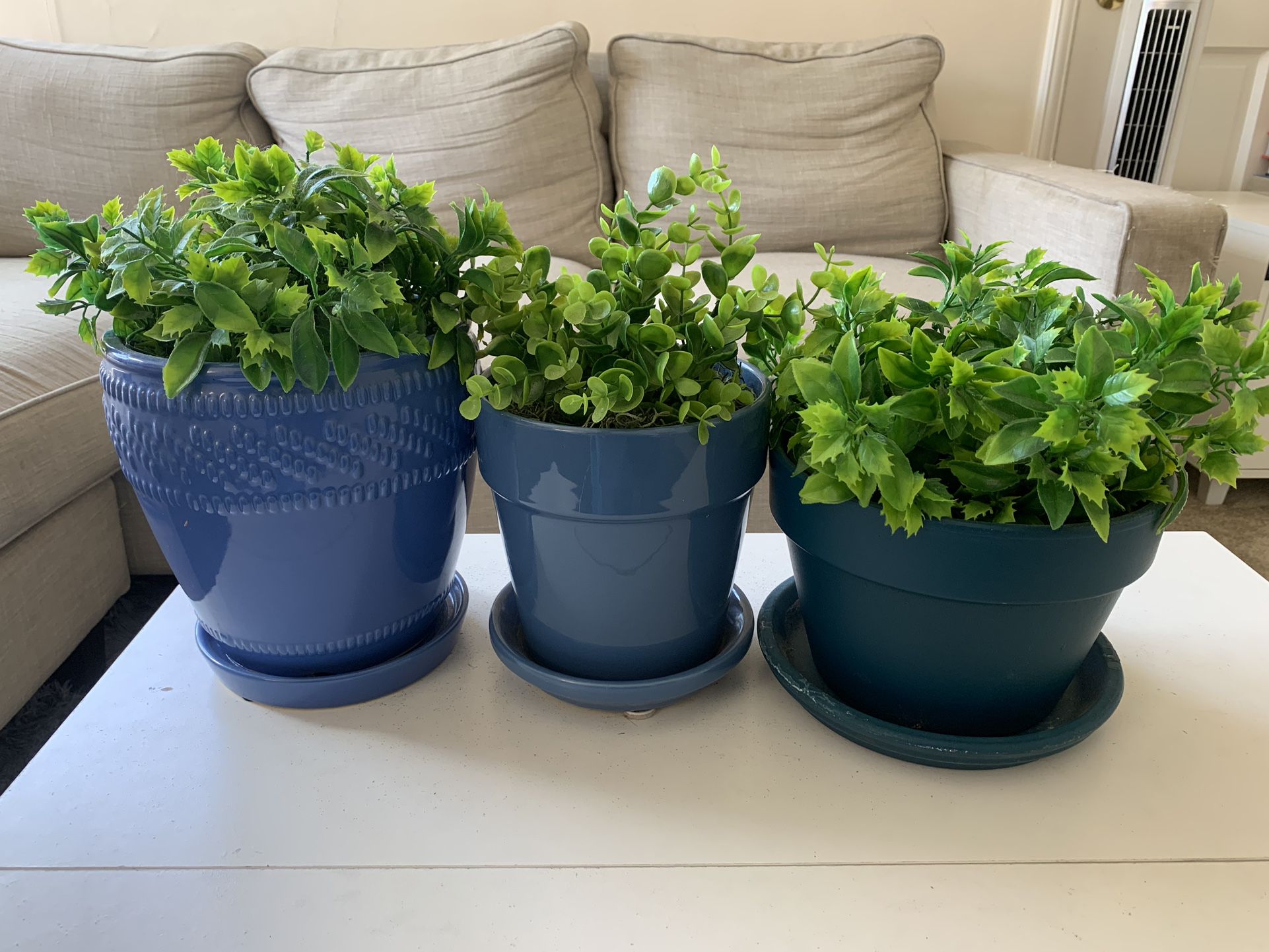 Three Big Blue Fake Plants 