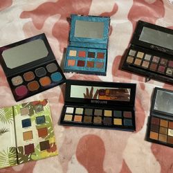 Huge Brand Name Palette Bundle