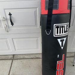 Boxing Bag 
