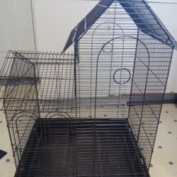 Bird Cage 