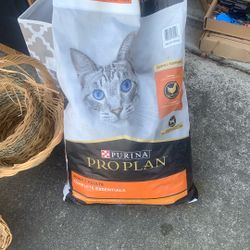Cat Food 