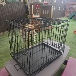MidWest Homes for Pets Newly Enhanced Single & Double Door iCrate Dog Crate, Includes Leak-Proof Pan, Floor Protecting Feet, Divider Panel & New Paten