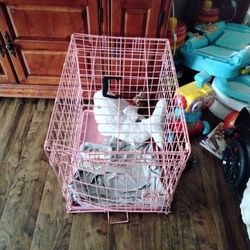 Pink Pet Cage For Kittens 