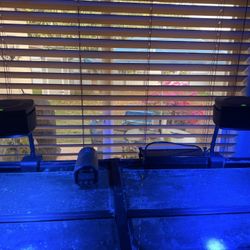 Saltwater Aquarium System 75 Gallon – Complete Setup + Premium Equipment