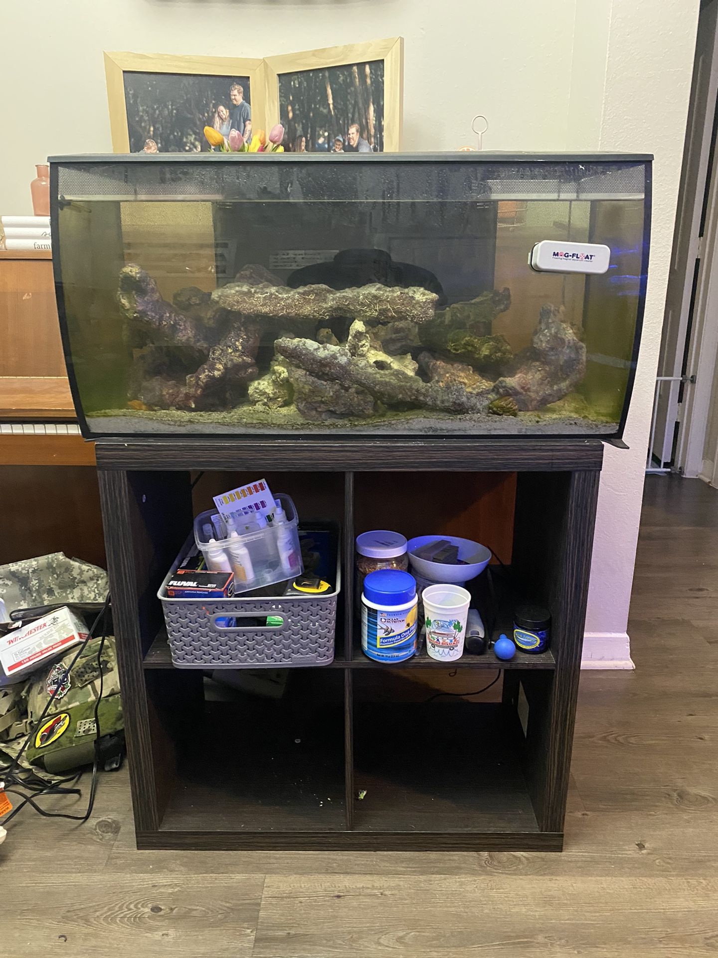 32 Gallon saltwater Aquarium