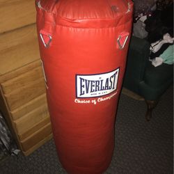 Everlast punching bag