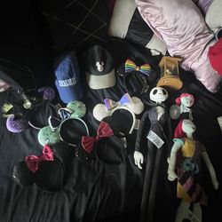 Disneyland items and accessories 