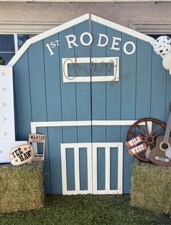 1st rodeo backdrop