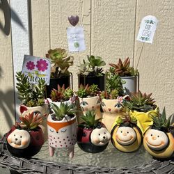 Teacher Appreciation Gifts