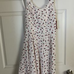 Disney Lauren Conrad Minnie Mouse Dress NWT Size 8