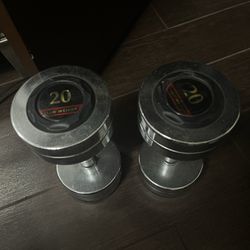20 Lbs Weights 