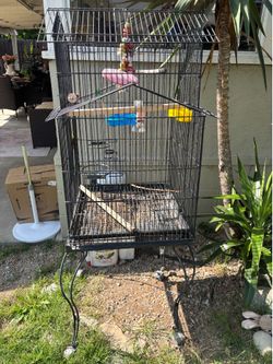 Bird cage