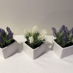 Artificial Plants, 3 Pack, Lavender, White and Lavender, in White Pots
