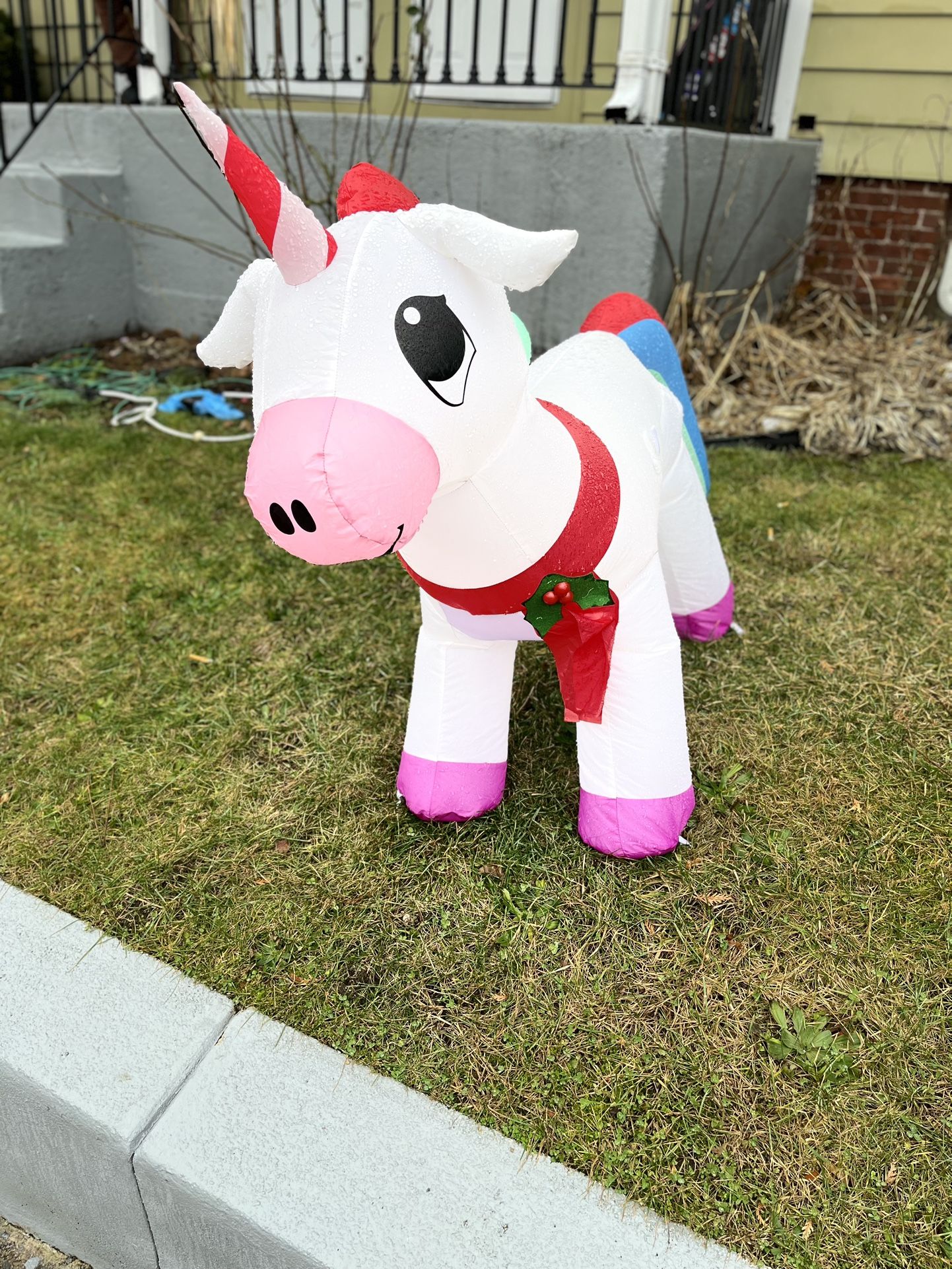 Christmas Inflatable