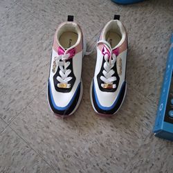 Nuevos