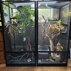 Reptile enclosure XL and L Reptibreeze and chameleon supplies
