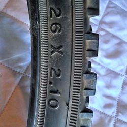 Bike Tire 