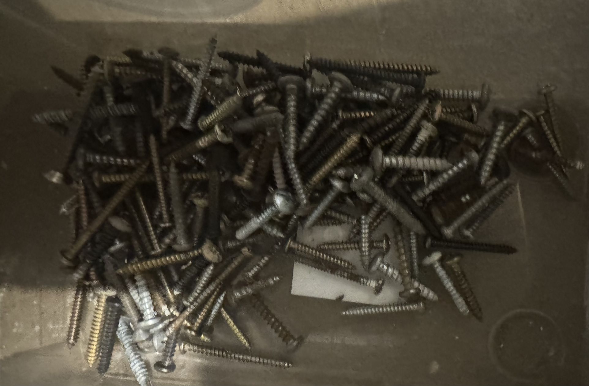 PHILLIP SCREWS