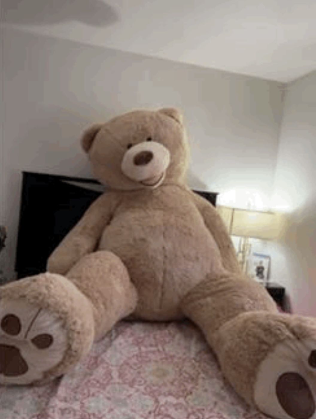 Huge Valentine Bear 🐻 
