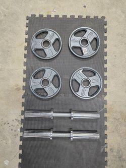 Pair of Olympic dumbbell handles and weights