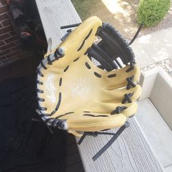 Heart Of The Hide 9.5 Inch Training Glove $180