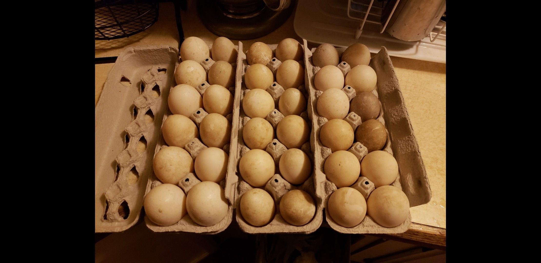 Farm Fresh Duck Eggs