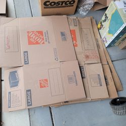 4x Homedepot Large Moving Boxes  + 8 misc Large boxes