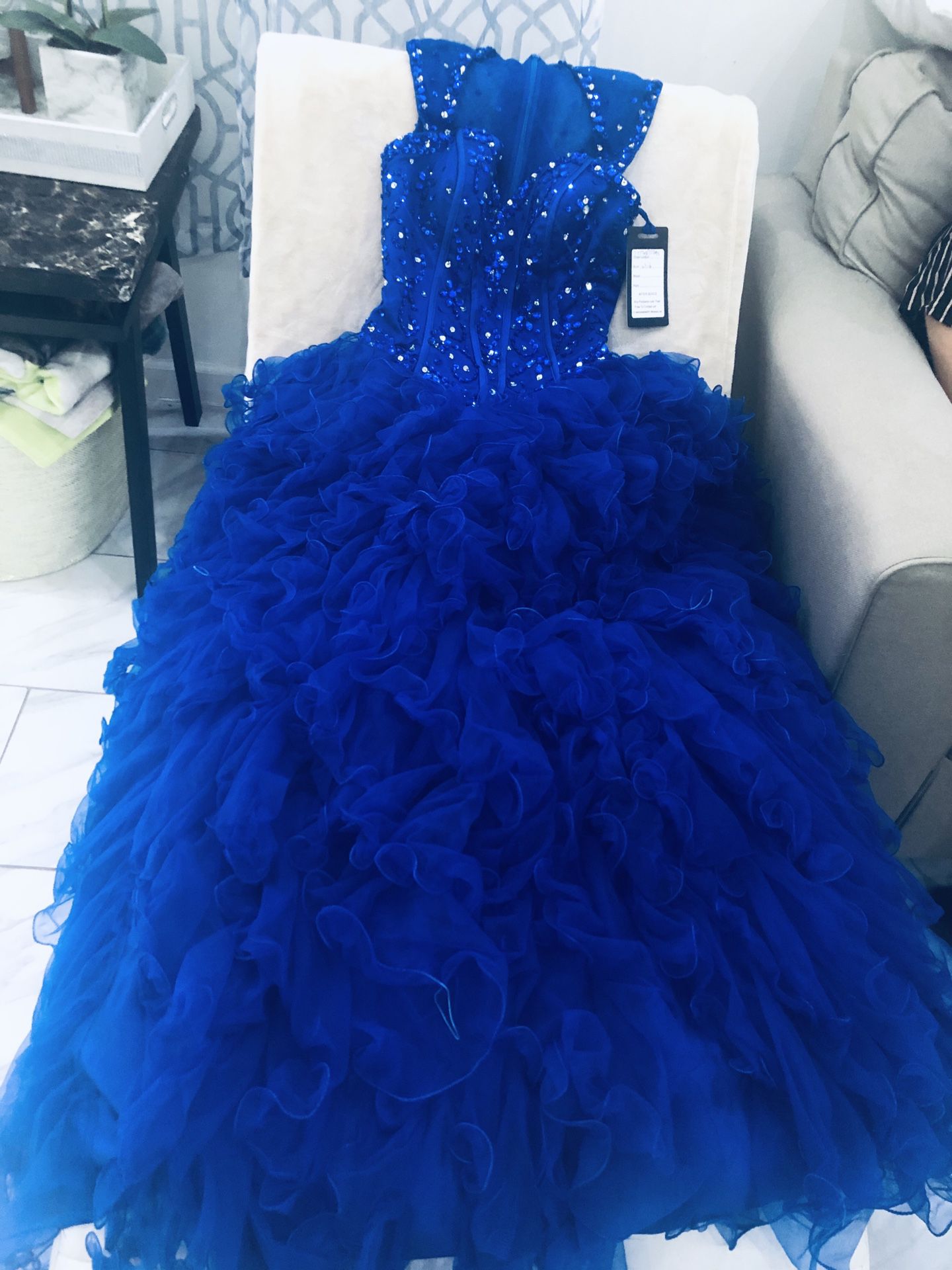 Quinceañera/ Prom/ Party Dress