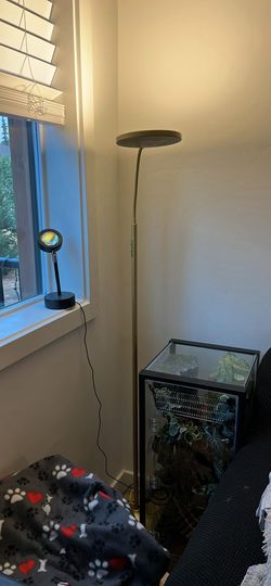Flexible Gold Lamp