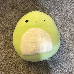 Rare Turtle Large Squishmallow