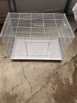 Cage food and stuff