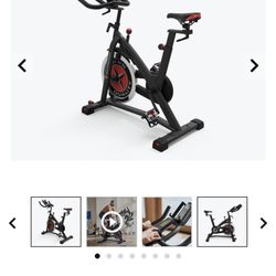Schwinn ICPRO20 Cycling Exercise Bike 